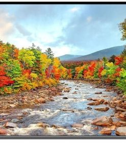 Mecer 75" 4K UHD 3840X2160 Smart LED Panel (75S8U)